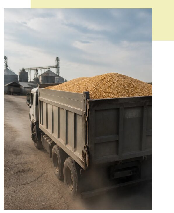 Перевозка сельхозпродукции навалом в Лиски по цене от 3282 р. | Агросервис-Лск