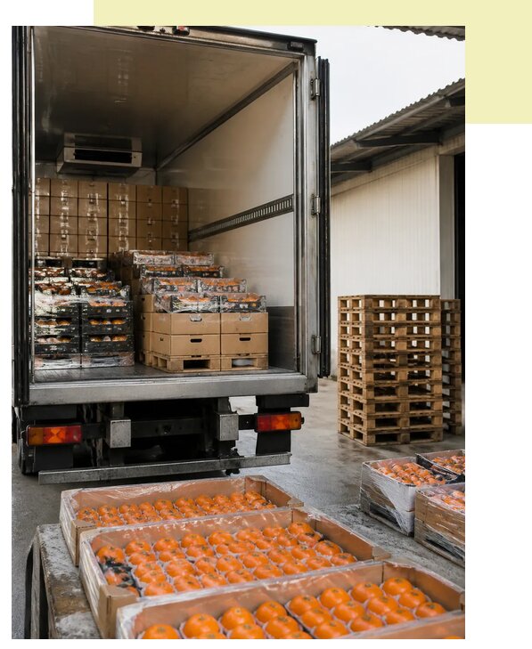 Перевозка хурмы рефрижератором в Лиски по цене от 5471 р. | Агросервис-Лск